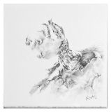 jerome-sterbecq-dessin - x