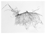 jerome-sterbecq-dessin - x