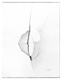 Craquelure 2 - x